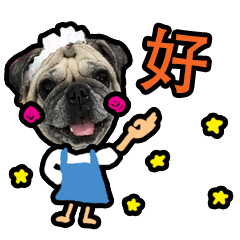 SHABU - the Pug (Taiwanese Version)