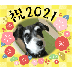 Ayumi_20201213171354