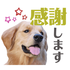 YURINA_20201213155543