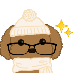 cute Glasses toy poodle lovely Winter