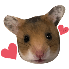 MINORIN_20201213173748