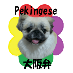 Pekingese's Osaka dialect sticker