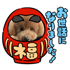 riho_20201214003008