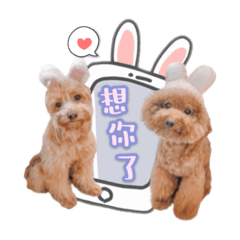 寶寶&圓圓生活