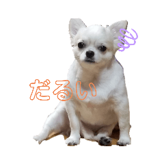 mizuki_20201213211649