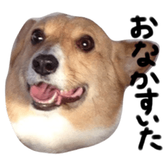 Tomomi_20201213191401