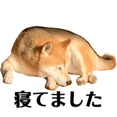 nanami_20201213205622