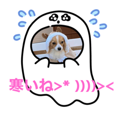 yukari_20201214104441