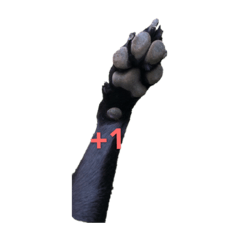 多仔與他的朋友