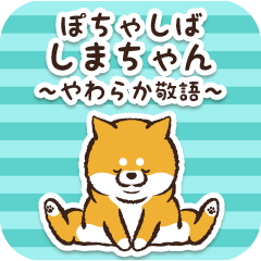 Pocha Shiba Shimachan (Honorific)