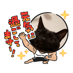 kayo_20201213213404