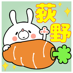 Bunny Sticker Ogino