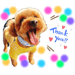 minorin_20201214001456