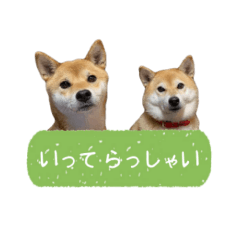 omochi_20201214155230