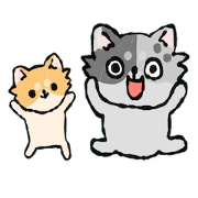 Are you "KING Chihuahua" ? Are you "KING Chihuahua" ?