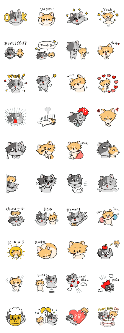 Are you "KING Chihuahua" ? Are you "KING Chihuahua" ?