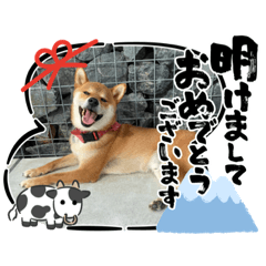 柴犬だわん2 Lineクリエイターズスタンプ Stamplist
