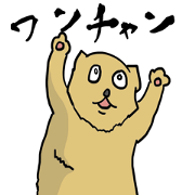 Strict dog Strict dog