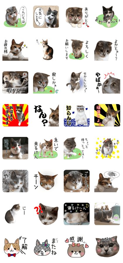 mugi325channel03 mugi325channel03