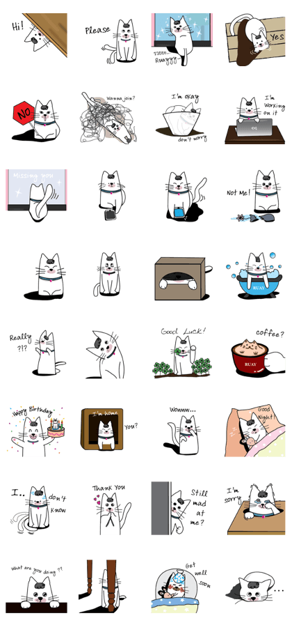 Ruay, the cat Ruay, the cat