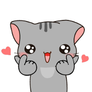 Cute gray kitten-niki-3 Cute gray kitten-niki-3