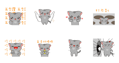 Cute gray kitten-niki-3 Cute gray kitten-niki-3