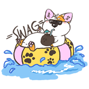 Doodle the Corgi Doodle the Corgi