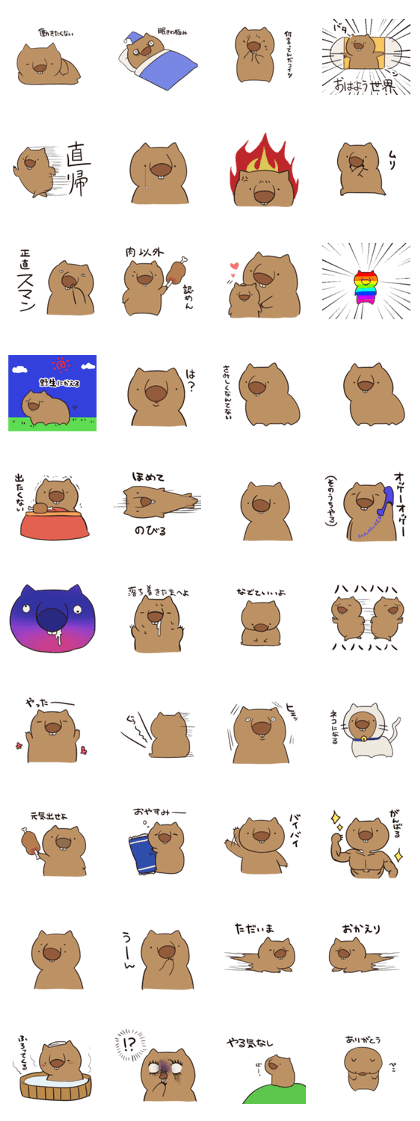 Wombat meat tail Wombat meat tail