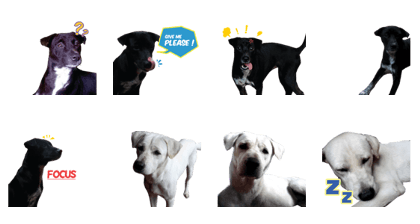 Beklen & Jojo : Balinese Dog Beklen & Jojo : Balinese Dog