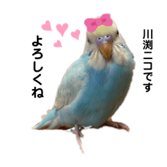 mizuki_20201214213658