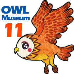 フクロウ 博物館 11