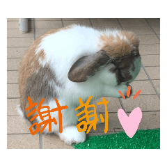 junko_20201214213218