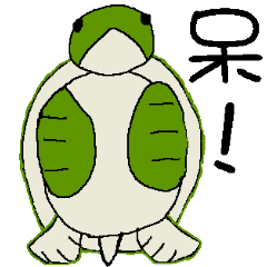無表情的綠蠵龜小乖