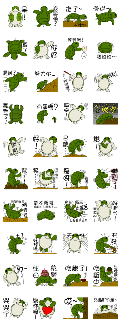 Green Turtle Green Turtle