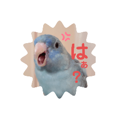 hikari_20201215001858