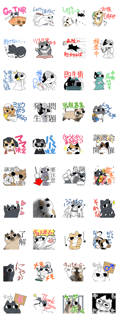 Small fairy Sakura cat