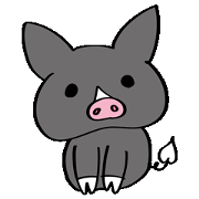 Pretty pig of Kagoshima