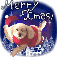 toy poodle "LUNLUN"-winter ver.-