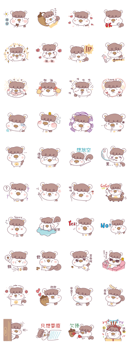 Little Cute Chipmunk