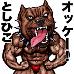 Toshihiko dedicated Muscle macho animal