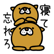 Sometimes polite dog? cat? Bear?