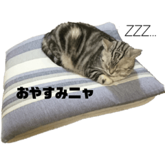 ken_20201214232430