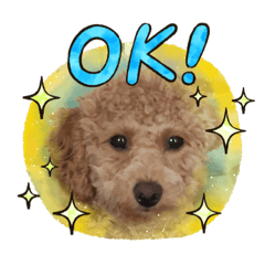 kero_20201215000835