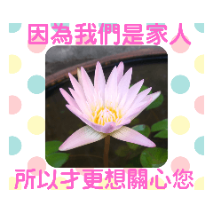 KITTY的文字貼圖：因為我們是家人篇(1)