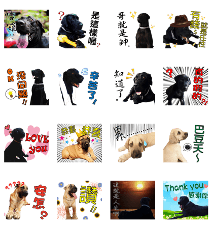 The Dogs from Longyeh Taiwan Dogs' House The Dogs from Longyeh Taiwan Dogs' House