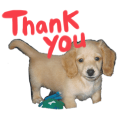 nnppjj_20201215091451