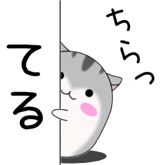 Move!Teru designated name Sticker