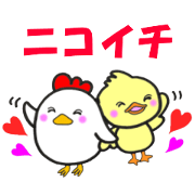 nicoichi nicoichi