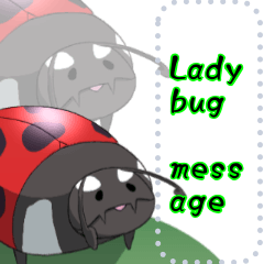 Round ladybug vol.1