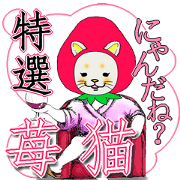 Cute strawberry cat Cute strawberry cat